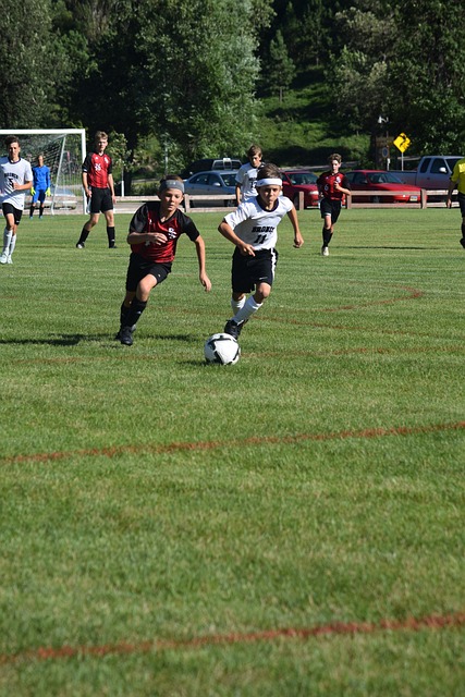 將轉向他的 將轉向他的