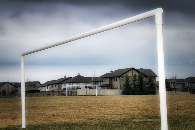 和物资储备 和物资储备