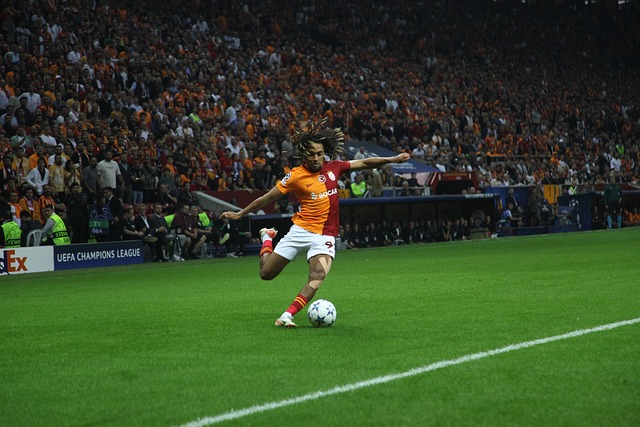 豪門的潛力 豪門的潛力