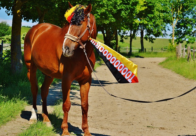 兴趣展开 兴趣展开