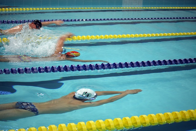 替补球员的 替补球员的