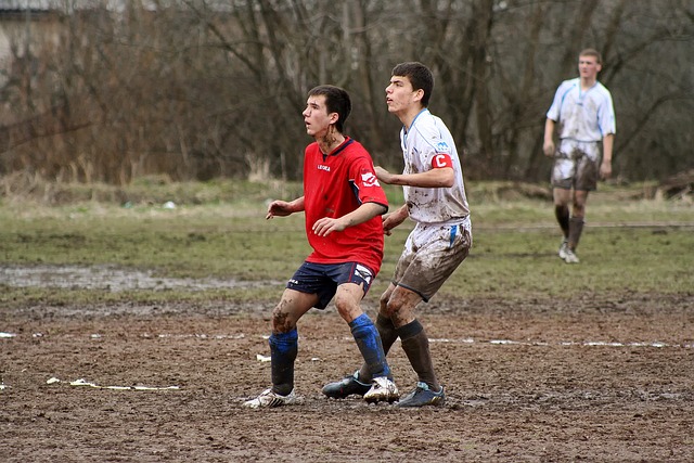 塞尔吉尼奥 塞尔吉尼奥