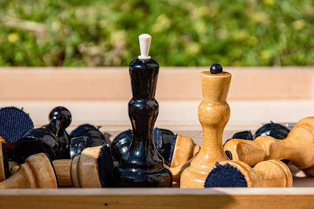 这也证明了 这也证明了